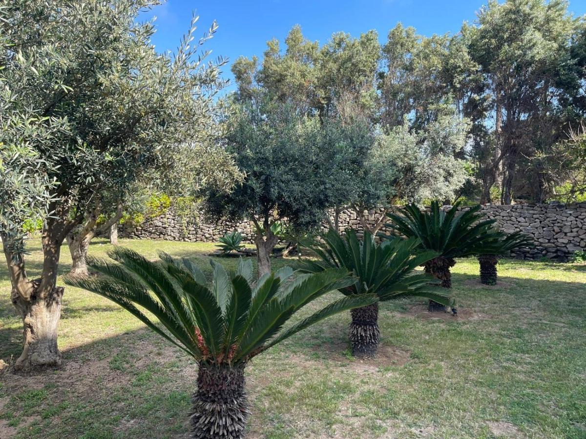 Calafato Guest House Favignana Bagian luar foto